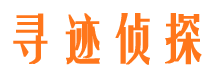 共青城市婚姻调查